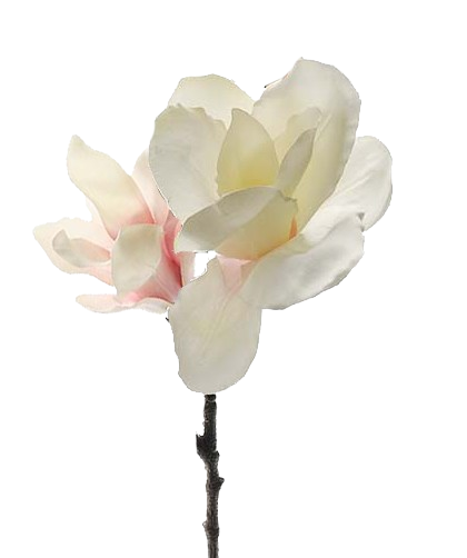 right flower